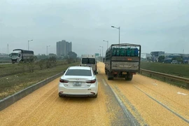 CSGT xử lý tài xế làm rơi 3 tấn ngô hạt trên đường cao tốc