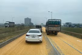 CSGT xử lý tài xế làm rơi 3 tấn ngô hạt trên đường cao tốc