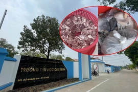 Biết gì Công ty Đào Lượng bán cá ươn, thịt nhớt cho Tiểu học Chu Minh?