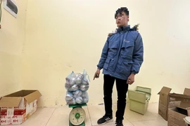 Công an bắt giữ nam thanh niên mang 29 quả pháo nổ đi bán