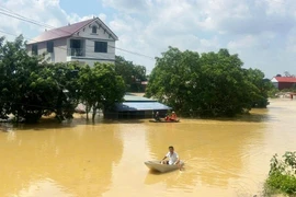 Lũ trên sông Cầu, sông Thương có khả năng đạt đỉnh chiều nay