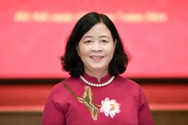 Tiểu sử tóm tắt bà Bùi Thị Minh Hoài, ứng cử viên ĐBQH khóa XVI 