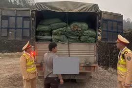 Công an Cao Bằng phát hiện 5.760kg nguyên liệu thuốc lá không rõ nguồn gốc