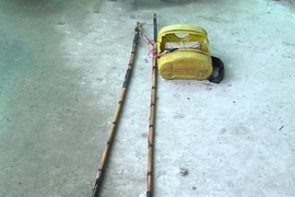 Hai người đàn ông ở Lào Cai bị phạt 4 triệu vì dùng kích điện bắt cá 