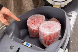 Mua pháo nổ trên mạng về đốt, nam thanh niên bị phạt 15 triệu