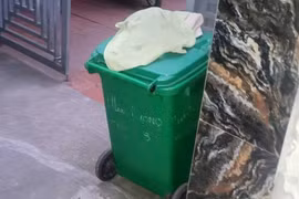 Phát hiện cháu bé sơ sinh tử vong trong thùng rác ở Bắc Ninh
