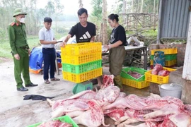 Bắc Ninh phát hiện gần 800kg thịt lợn thối chuẩn bị đưa lên bàn ăn