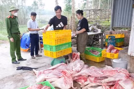 Bắc Ninh phát hiện gần 800kg thịt lợn thối chuẩn bị đưa lên bàn ăn