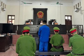 Nhận 10 triệu vận chuyển ma túy, người đàn ông lĩnh án chung thân