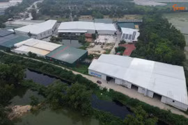 Đây là những công trình xây dựng trái phép trên đất nông nghiệp, sử dụng sai mục đích đất tại cánh đồng khu phố Phương Cầu, phường Phương Liễu (tỉnh Bắc Ninh). Phó Chủ tịch UBND phường Phương Liễu Tô Thành Công khẳng định, những công trình này đều xuất hiện trước thời điểm sáp nhập chính quyền địa phương 2 cấp, là tồn tại, lịch sử để lại.