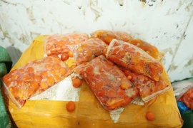 Phát hiện gần 2 tấn thực phẩm đông lạnh không rõ nguồn gốc ở Bắc Ninh