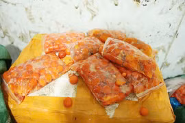 Phát hiện gần 2 tấn thực phẩm đông lạnh không rõ nguồn gốc ở Bắc Ninh