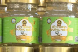 Đưa yến giả ra thị trường, một giám đốc bị khởi tố