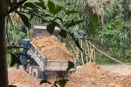 Cận cảnh san lấp đất rầm rộ trái phép ở Phú Thọ