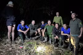 Tìm thấy du khách nước ngoài bị lạc trong rừng ở Lào Cai