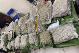 Phá đường dây cần sa 'khủng' xuyên quốc gia từ Thái Lan vào Việt Nam