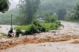 Tỉnh ủy Bắc Ninh chỉ đạo ứng phó với bão số 11