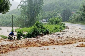 Tỉnh ủy Bắc Ninh chỉ đạo ứng phó với bão số 11