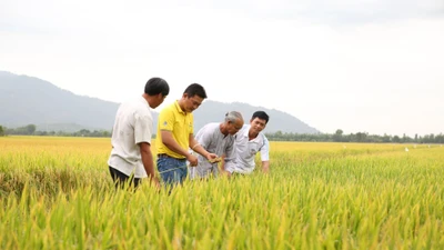 PVCFC: Thương hiệu đồng hành cùng người lao động