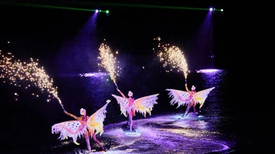 "Đặc quyền" của giới thượng lưu tại nhà phố Sun Group Cát Bà