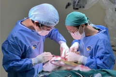 Nam sinh đau đầu, chóng mặt thường xuyên do u vùng tuyến tùng hiếm gặp