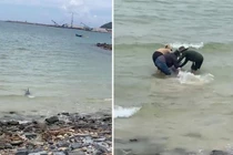 Người dân Hà Tĩnh hợp sức giải cứu cá heo mắc cạn