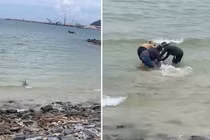 Người dân Hà Tĩnh hợp sức giải cứu cá heo mắc cạn