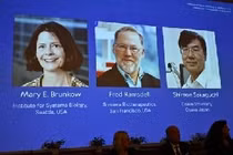 Hành trình đến giải Nobel Y sinh 2025, mở cánh cửa mới về miễn dịch học