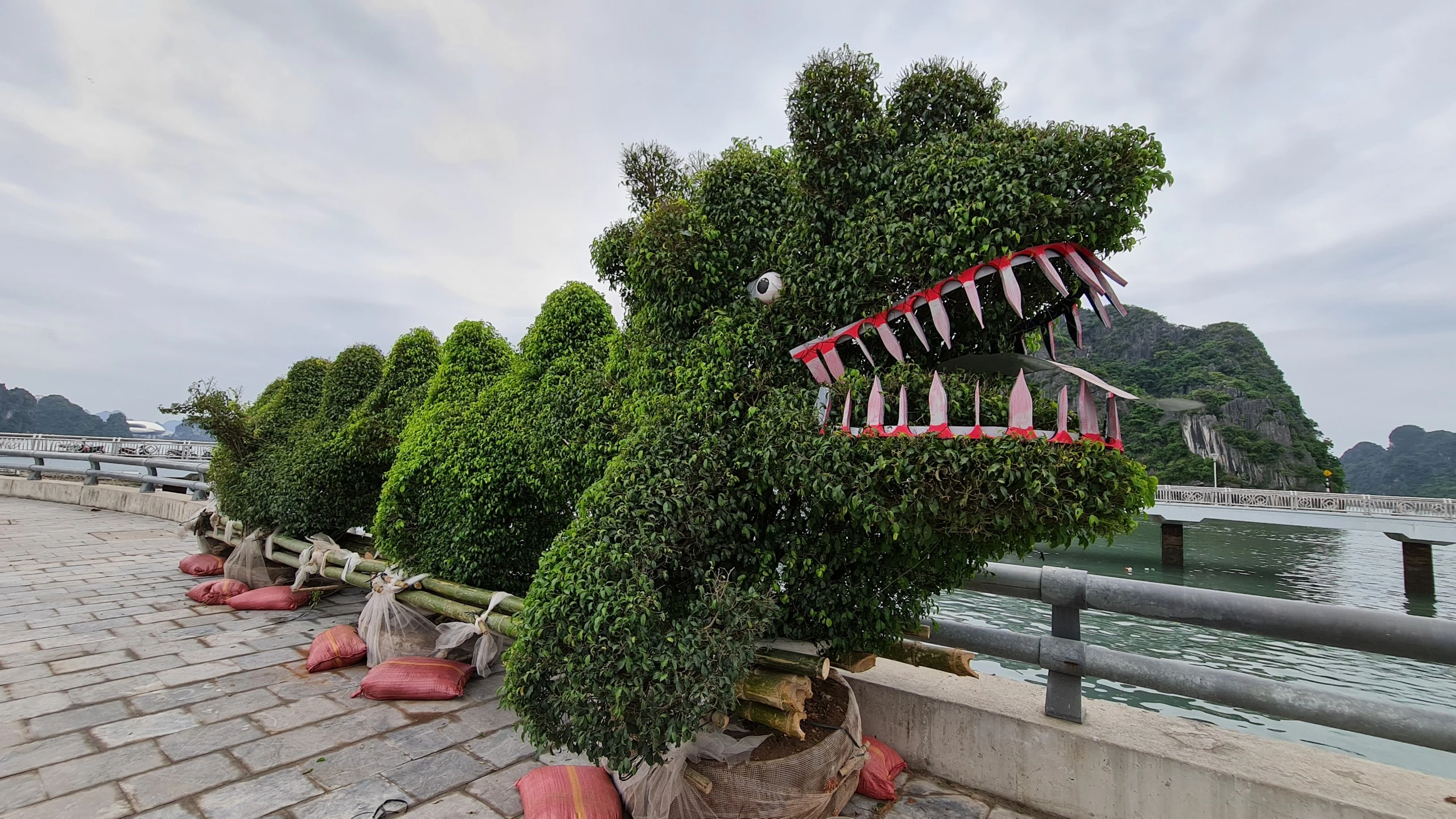 Cận cảnh Rồng “Pikachu” xuất hiện giữa trung tâm thành phố Hạ Long