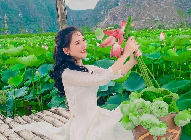 Sen Ninh Bình mang vẻ đẹp khó cưỡng