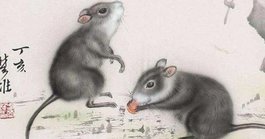 2 tuổi vướng Tam Tai nghèo rớt mùng tơi năm 2023