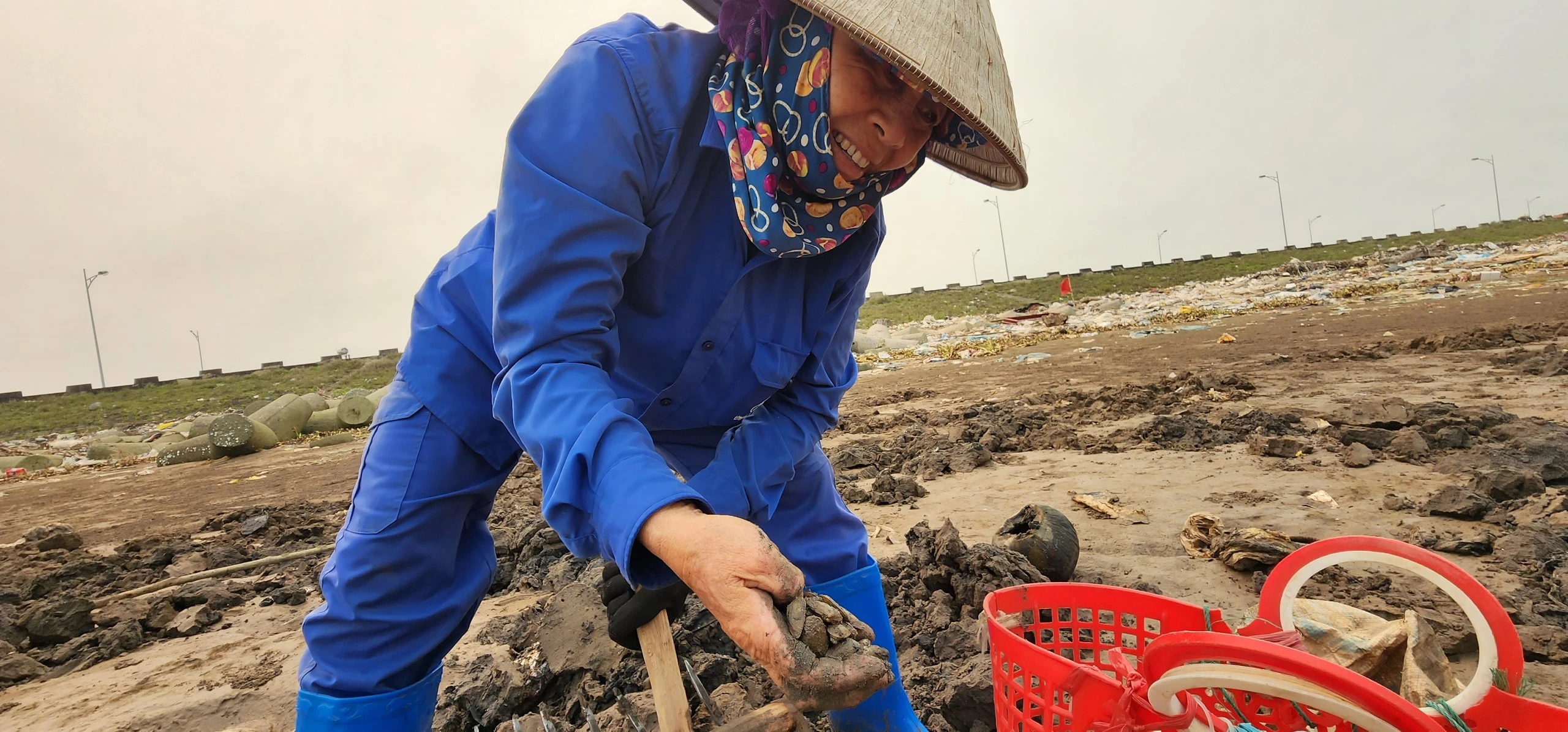 Vất vả nghề còng lưng đi mót "lộc” biển ở Nam Định