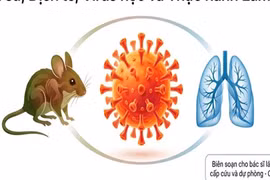 Thế giới lo ngại chùm ca nhiễm Hantavirus, bác sĩ Việt Nam cảnh báo nguy cơ