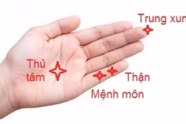 Kích thích huyệt phục hồi tóc rụng sau sốt xuất huyết