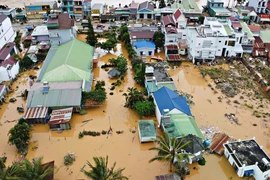 Việt Nam trân trọng và biết ơn sự ủng hộ, giúp đỡ của cộng đồng quốc tế