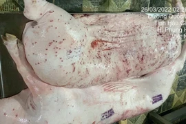 Ăn thịt lợn bệnh nguy cơ ngộ độc, nhiễm trùng huyết