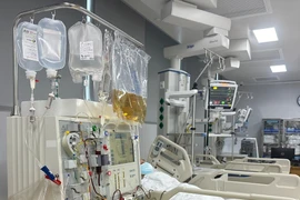 Điều trị sán chó uống cảm cúm, người bệnh suy gan cấp, nhiễm trùng huyết