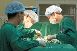 Vú lở loét, di căn vì dùng ong đốt chữa ung thư