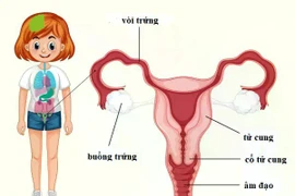 Chấn thương tụ máu âm hộ ở trẻ, không thể chủ quan