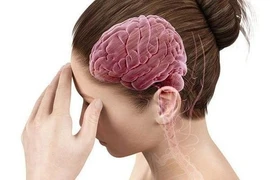 Món ăn – bài thuốc phục hồi sức khỏe, tốt cho não 