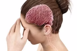 Món ăn – bài thuốc phục hồi sức khỏe, tốt cho não 