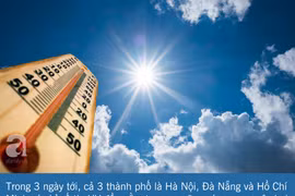 Làm việc ngoài đồng, bệnh nhân hôn mê nguy kịch do nắng nóng