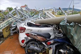 Hơn 357 tỷ đồng bảo hiểm bồi thường thiệt hại do bão số 10