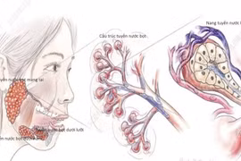 Địa chỉ vàng: Bệnh viện điều trị u tuyến nước bọt