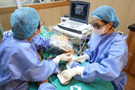 Đau đớn nhiều năm vì suy giãn tĩnh mạch chi dưới