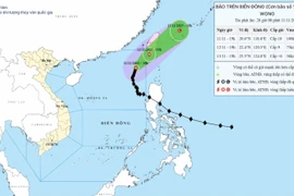 Bão số 14 giảm cường độ, sóng lớn trên vùng Bắc Biển Đông