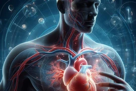 Địa chỉ vàng: Những bệnh viện cấp cứu nhồi máu cơ tim tại Hà Nội