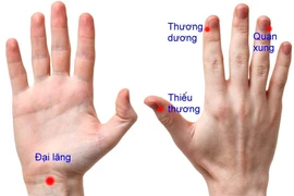 Liệu pháp tự nhiên phòng chữa viêm amiđan