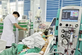 Dọn dẹp sau ngập lụt cẩn thận nhiễm xoắn khuẩn vàng da nguy kịch