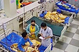 Cứu sống chàng trai 21 tuổi bị ong vò vẽ đốt nguy kịch